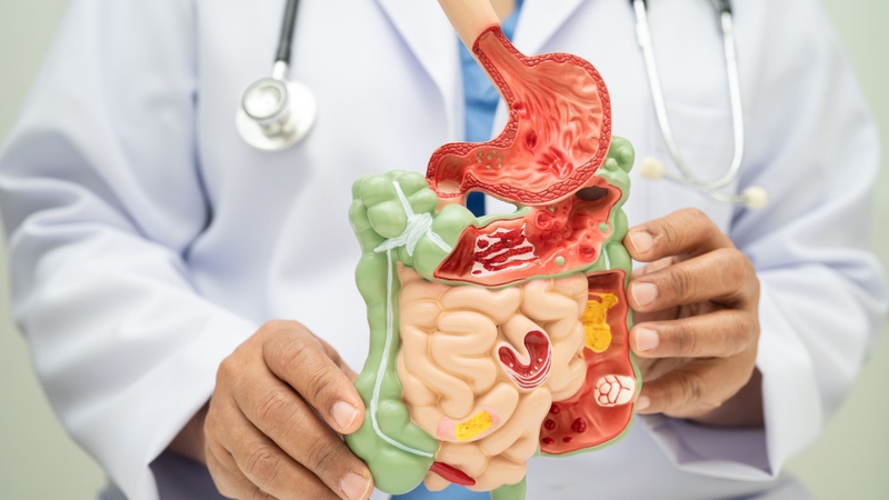 Chlortetracycline chủ yếu được thải trừ qua phân