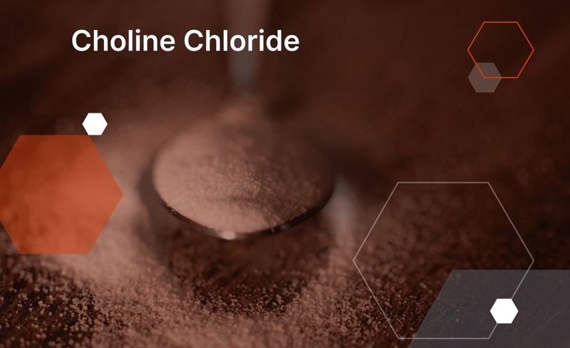 Choline Chloride là gì? Công dụng của Choline Chloride với sức khỏe 1