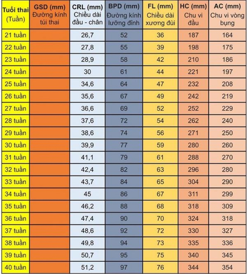 Chu vi vòng đầu thai nhi là gì? Chỉ số quan trọng tới sức khỏe mẹ và bé 3