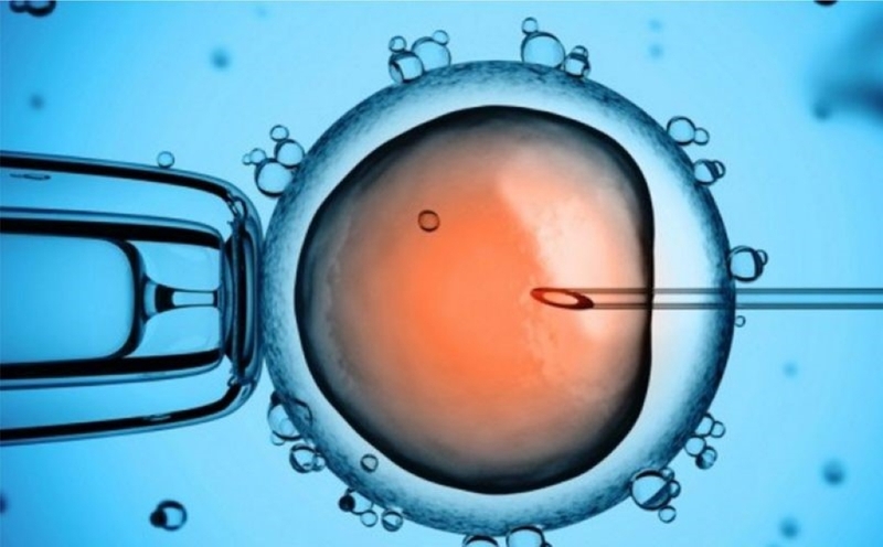 Chuyển phôi là gì và sau chuyển phôi bao nhiêu ngày thì có tim thai? 1