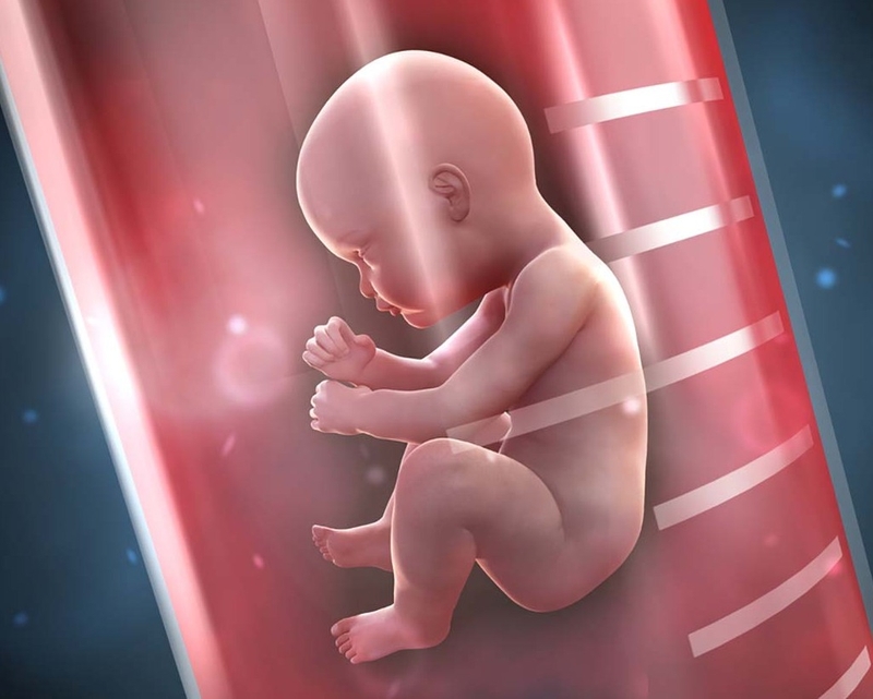 Chuyển phôi là gì và sau chuyển phôi bao nhiêu ngày thì có tim thai? 3