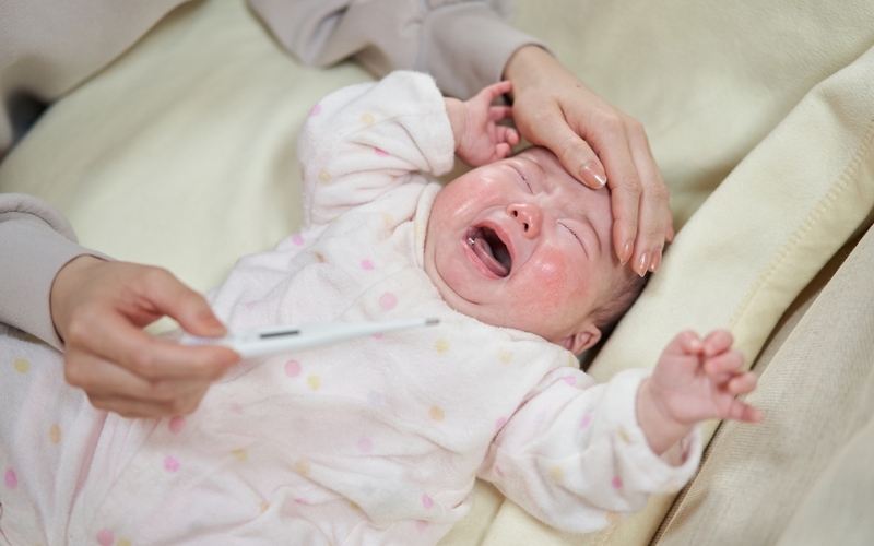 Cỏ mần trầu là cây gì? Dùng cỏ mần trầu tắm cho trẻ có tốt không? 2