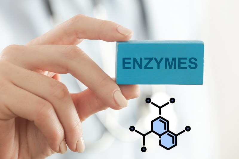 Có nên dùng men tiêu hóa cho bà bầu khi bị gặp các vấn đề về đường ruột không