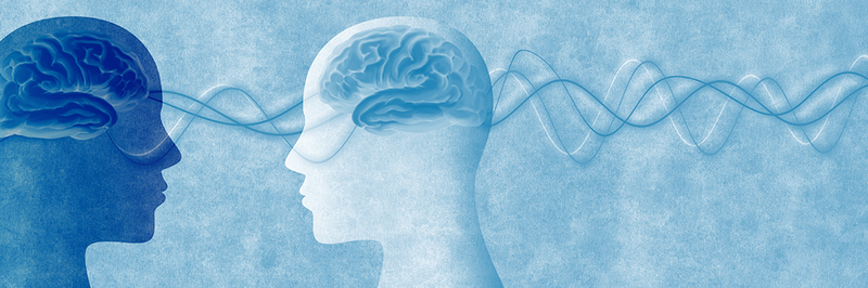 Có thể ý thức là sự liên kết của các quá trình mà thông tin đến từ nhiều giác quan khác nhau 3