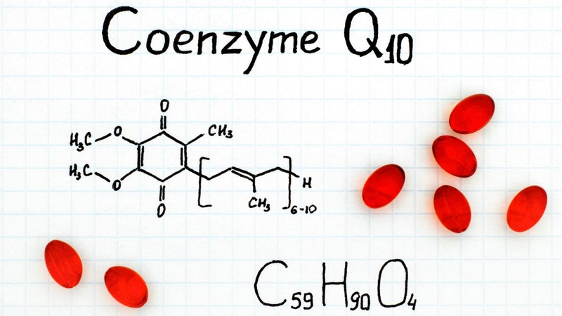 Coenzyme Q10 hỗ trợ nhiều chức năng quan trọng của cơ thể