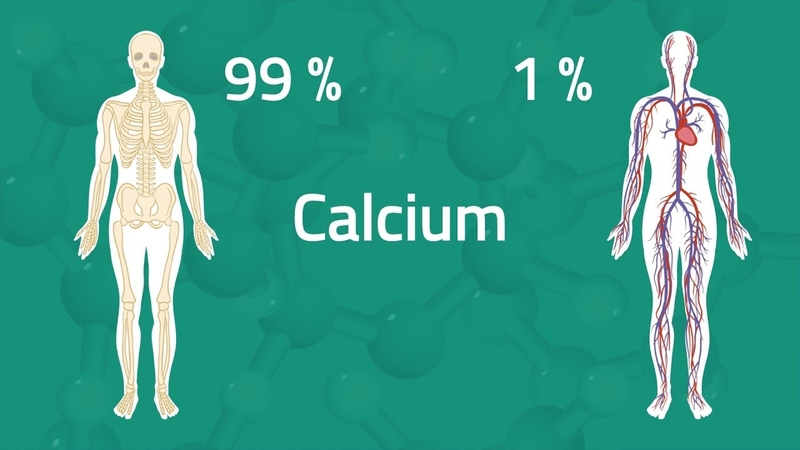 Calci & Vitamin D3 - Dưỡng chất cần thiết cho xương chắc khỏe 1