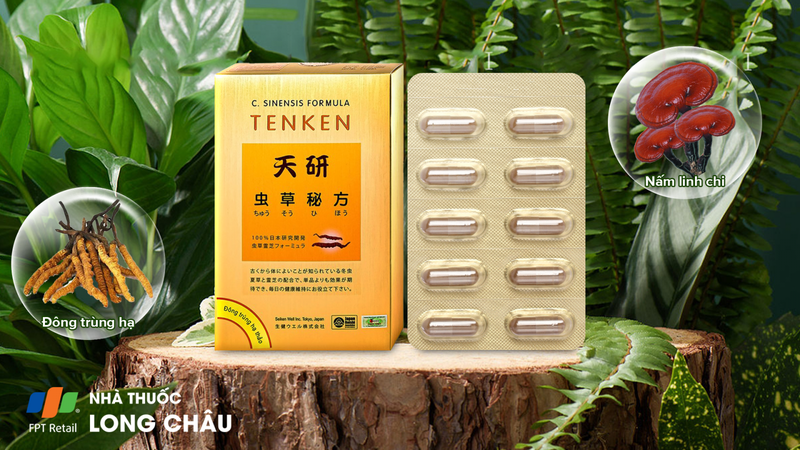 Đông Trùng Hạ Thảo Tenken 1