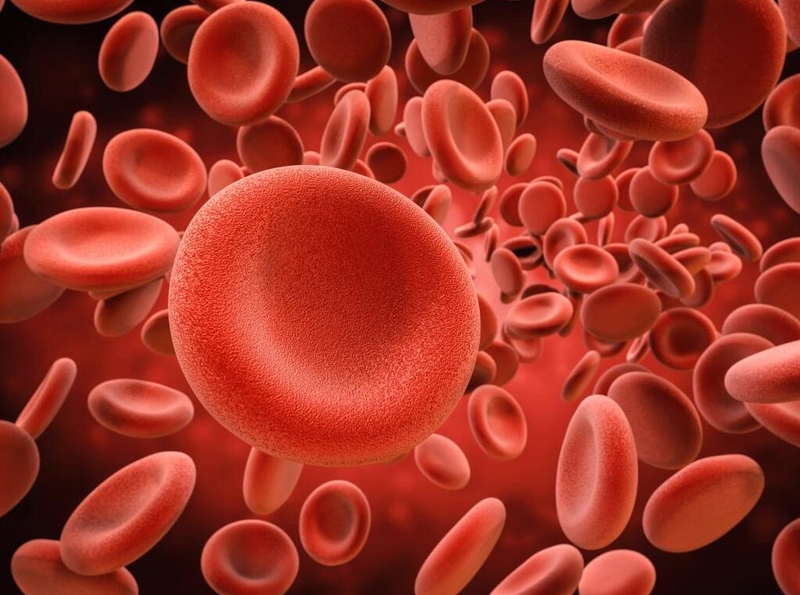 Đa hồng cầu ở trẻ sơ sinh: Nguyên nhân, phương pháp chẩn đoán và điều trị 1