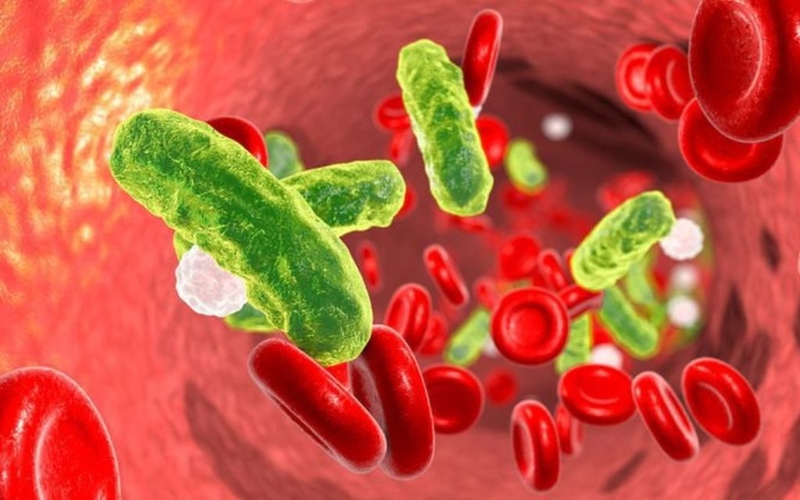 Đại thực bào là gì? Hội chứng hoạt hoá ở đại thực bào có nguy hiểm không? 2