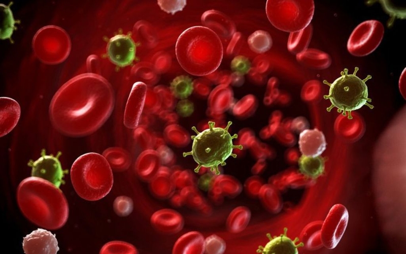 Đại thực bào là gì? Hội chứng hoạt hoá ở đại thực bào có nguy hiểm không? 3