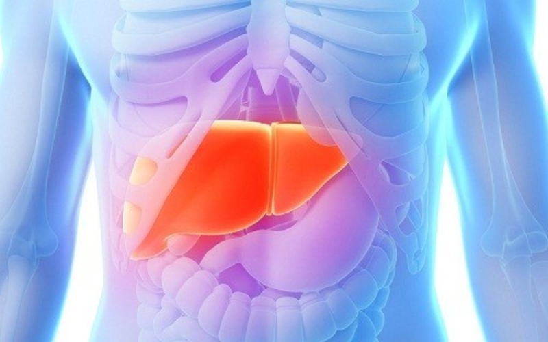 Đại thực bào là gì? Hội chứng hoạt hoá ở đại thực bào có nguy hiểm không? 4