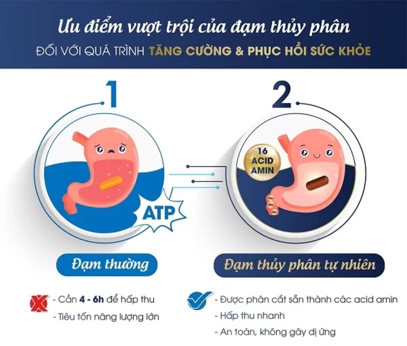 Đạm thủy phân và những lợi ích đối với sức khỏe mà bạn cần biết 4