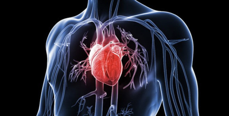 danh-trong-nguc-khi-nam-cac-dieu-can-bietdanh-trong-nguc-khi-nam-cac-dieu-can-biet 2