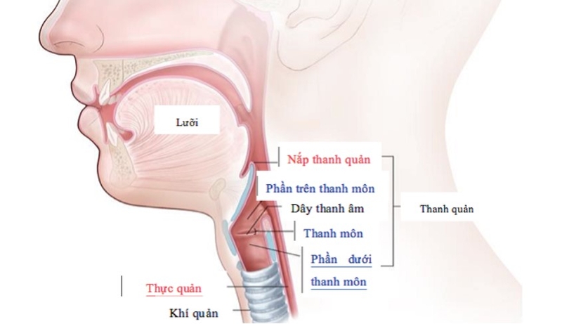 Đặt nội khí quản trẻ em 02