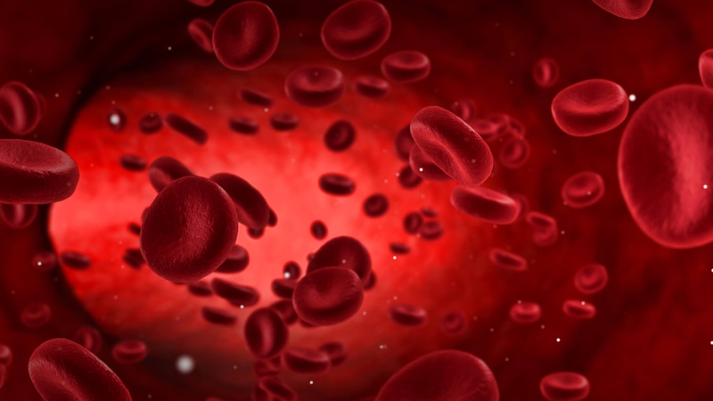 Dấu hiệu bệnh tim bẩm sinh ở người lớn 02