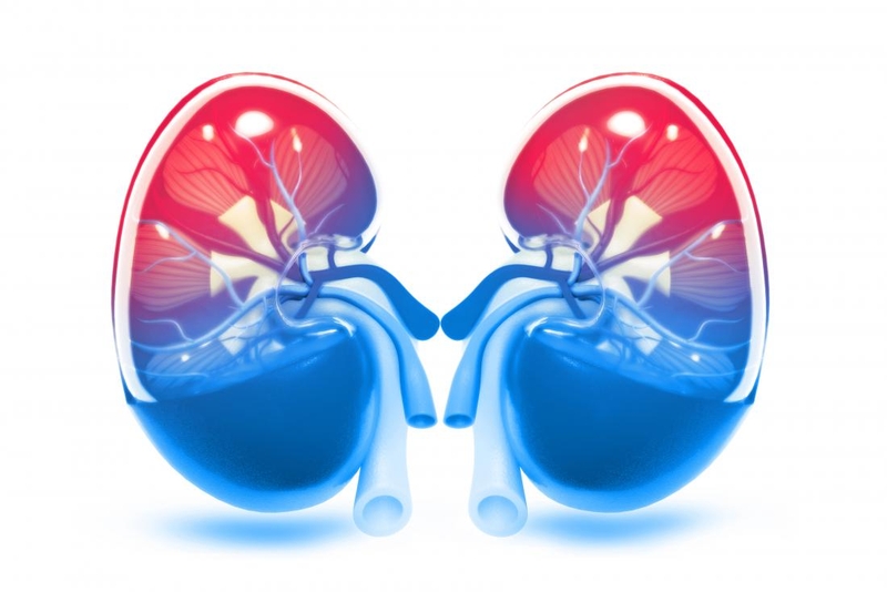 nhan-biet-dau-hieu-viem-duong-tiet-nieu-nu-va-cach-phong-ngua 4