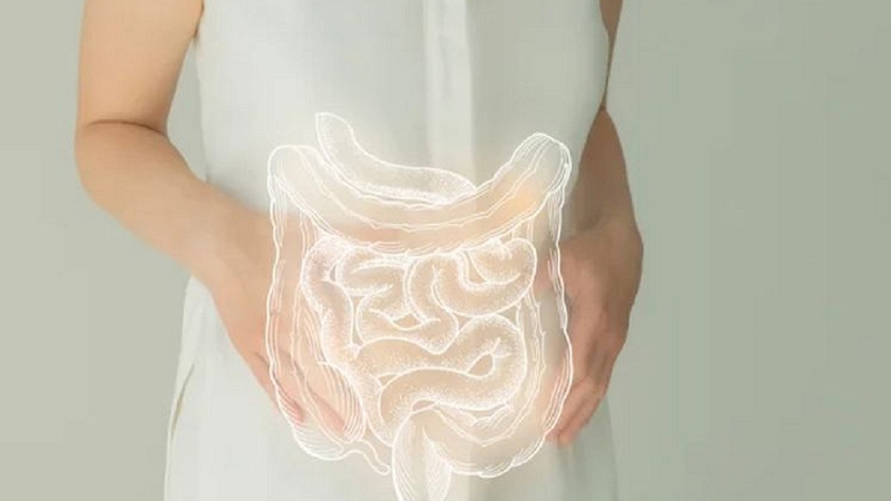 Đi ngoài ra chất nhầy màu hồng - Lời cảnh báo của cơ thể 1