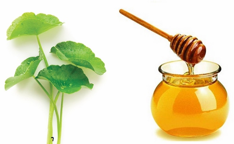 Top 6 cách trị mụn nội tiết bằng thuốc nam hiệu quả 5