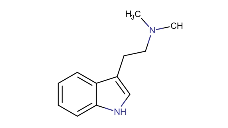 Công thức hóa học của Dimethyltryptamine