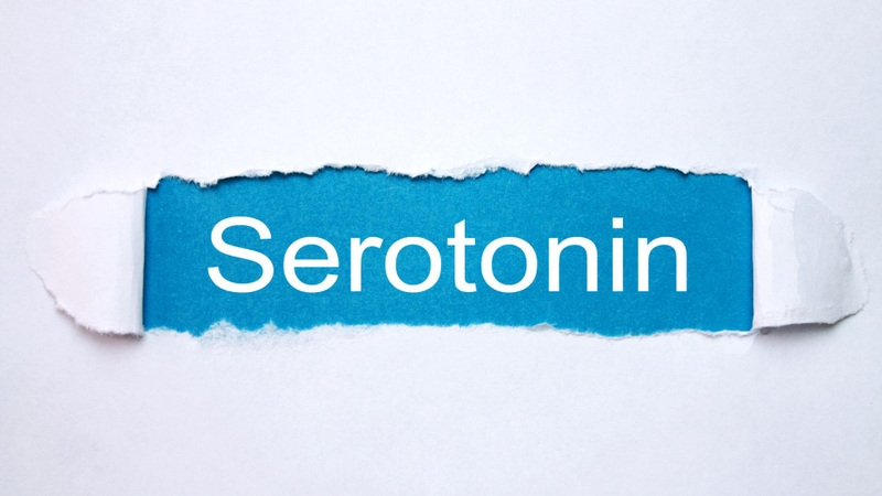 Trên hệ serotonin, DMT đóng vai trò chất chủ vận thụ thể 5-HT1A, từ đó ức chế adenylate cyclase và làm giảm nồng độ cAMP nội bào