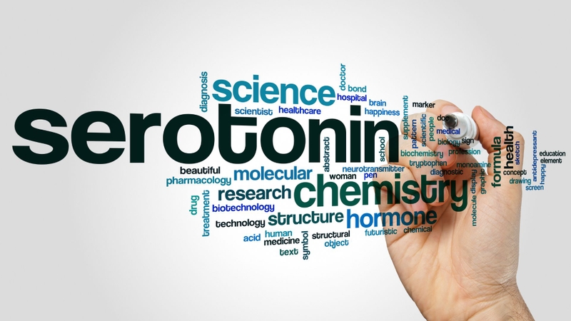 Nghiên cứu DMT giúp làm sáng tỏ vai trò của hệ serotonin, thụ thể sigma-1 và các đường truyền tín hiệu nội bào liên quan đến nhận thức và ý thức con người