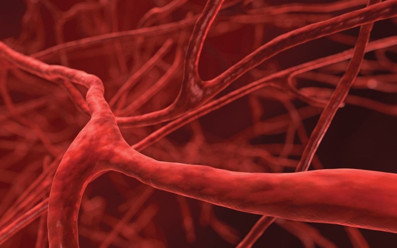 Đo độ cứng động mạch là gì? Giá trị và phương pháp đo độ cứng động mạch 1