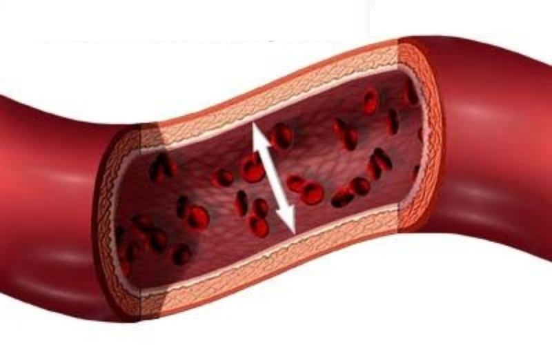 Đo độ cứng động mạch là gì? Giá trị và phương pháp đo độ cứng động mạch 4