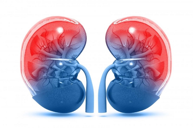 Độ lọc cầu thận bình thường là bao nhiêu? Cách tính độ lọc cầu thận 3