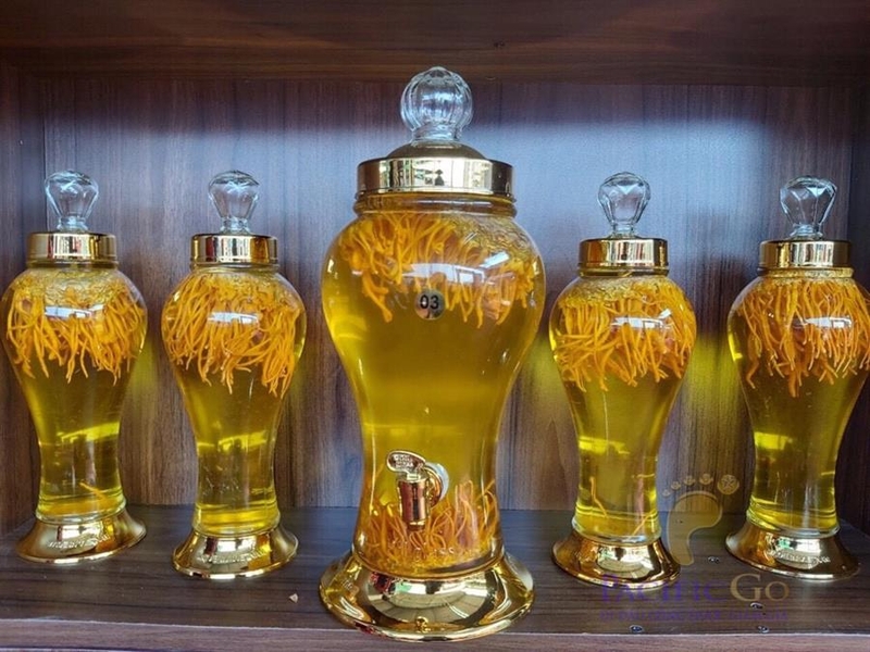 Đông trùng hạ thảo ngâm rượu có tác dụng gì cho cơ thể con người 1