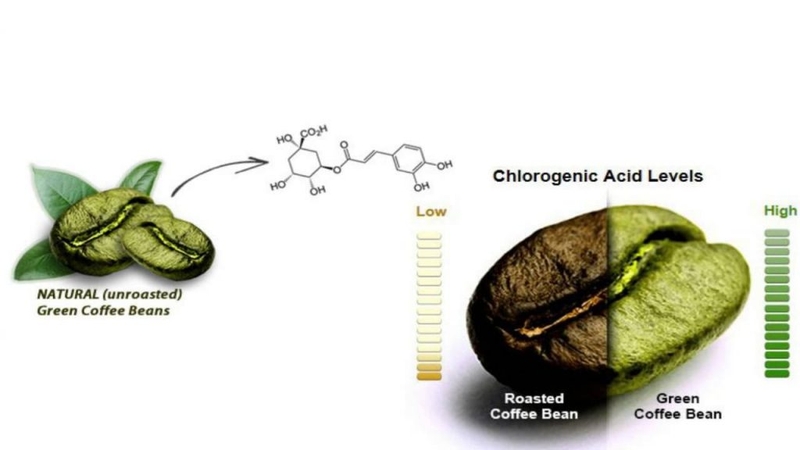 9-loi-ich-khong-ngo-cua-ca-phe-xanh-doi-voi-suc-khoe1