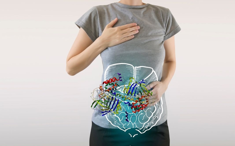 Enzyme protease là gì? Enzyme protease có tác dụng gì 2