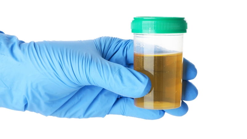 Furazolidone cùng các chất chuyển hóa của thuốc được thải trừ chủ yếu qua đường nước tiểu