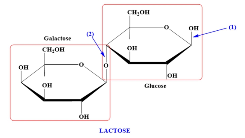 Phương pháp thủy phân lactose được dùng phổ biến
