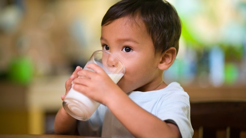 Lactose trong sữa được phân giải thành glucose và galactose để cơ thể hấp thu