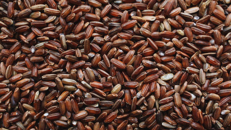 Gạo lứt là một loại thực phẩm giúp ngủ ngon cho người lớn tuổi có chứa nhiều carbohydrate