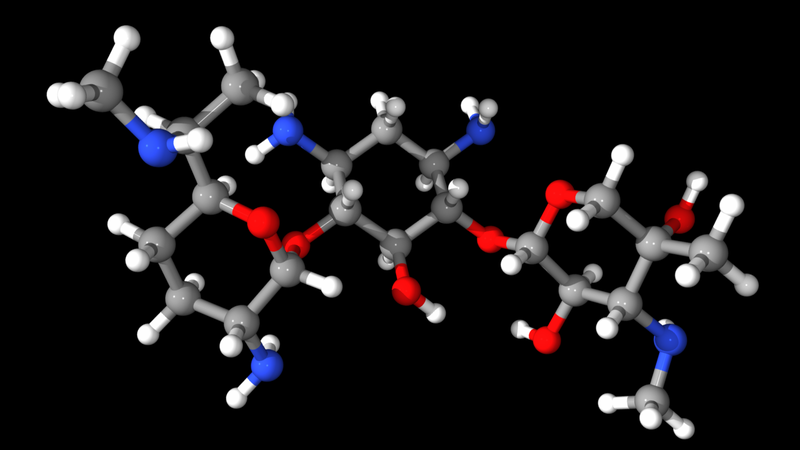 Gentamicin và những điều cần biết 1.png