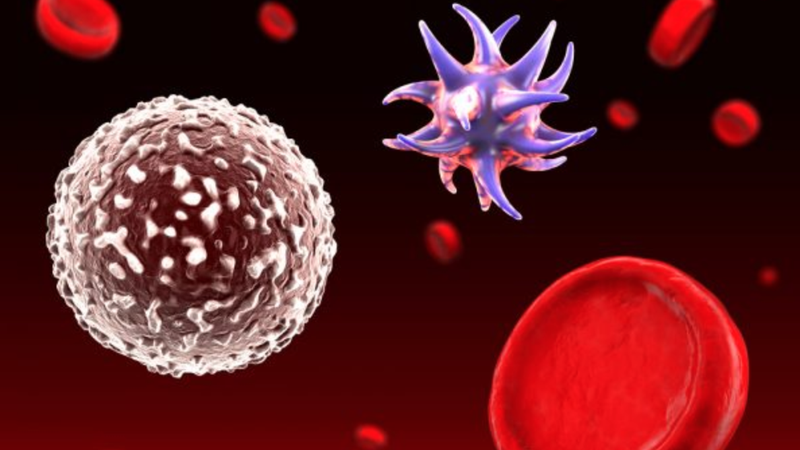 Gentamicin và những điều cần biết 2.png