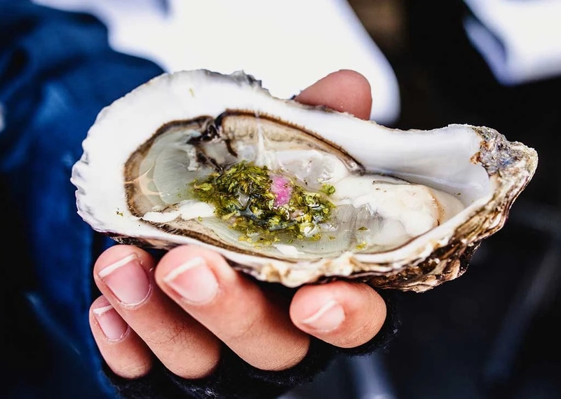 Giải đáp cùng chuyên gia: Ăn nhiều hàu có tốt không? Tác dụng của hàu đối với phụ nữ 2