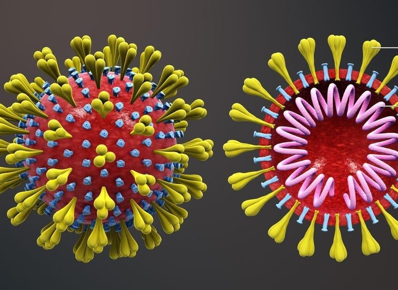 Giải đáp cùng chuyên gia: Bà bầu bị cúm 3 tháng giữa có sao không? 1