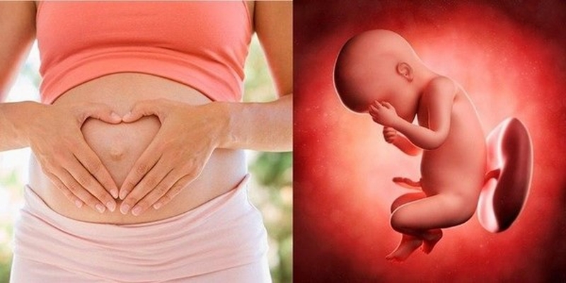 Giải đáp thắc mắc Ngừng uống thuốc tránh thai bao lâu thì sẽ có thai 2