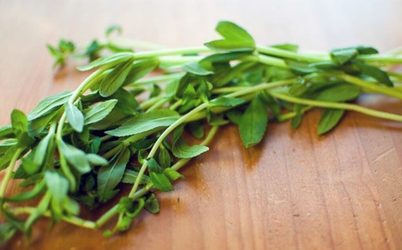 Giải đáp thắc mắc: Bà bầu ăn rau ngổ được không và những điều cần lưu ý 2