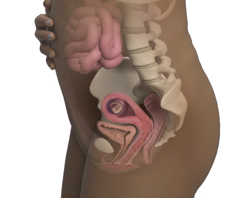 Giải đáp thắc mắc cùng bác sĩ nhi khoa: Thai 11 tuần đã bám chắc chưa? 2