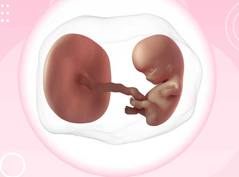 Giải đáp thắc mắc cùng chuyên gia sản khoa: Siêu âm thai 5 tuần có tim thai chưa? 1