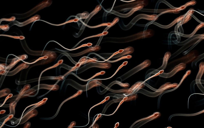 Giải đáp thắc mắc: Quan hệ không dùng bao nhưng chưa xuất có thai không? 2