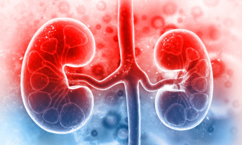 Giải đáp thắc mắc: Suy thận độ 4 là gì? Suy thận cấp độ 4 sống được bao lâu? 1