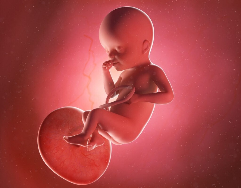 Giải đáp thắc mắc: Thai 35 tuần nặng bao nhiêu và phát triển như thế nào? 1