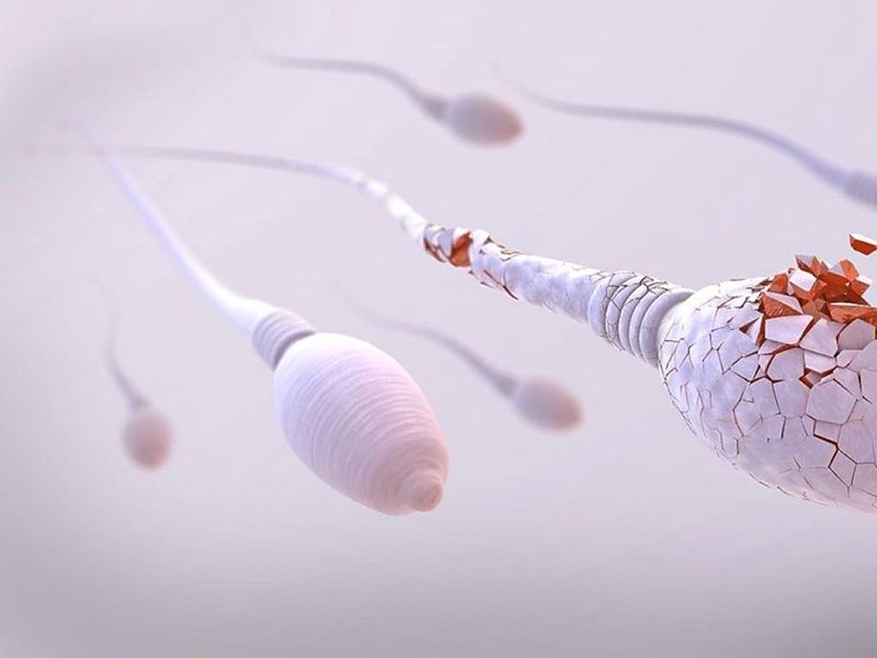 Giải đáp thắc mắc tinh trùng khỏe nhất vào thời gian nào trong ngày? 2