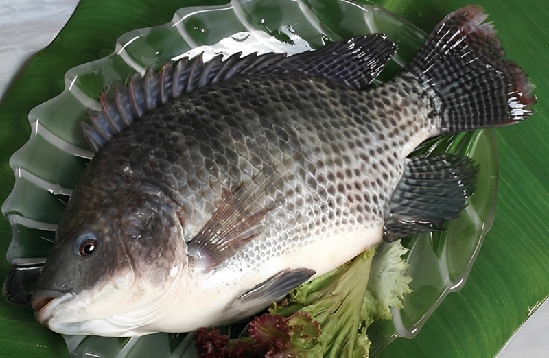 Giải đáp thắc mắc trong thai kỳ: Mẹ bầu ăn cá phi được không?