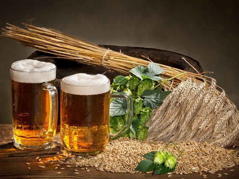 Giải đáp thắc mắc: Uống bia có béo không? Liệu uống bia có tốt cho sức khỏe? 2