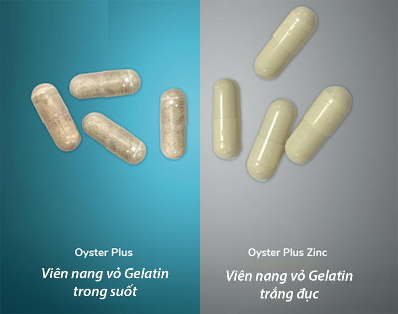 Góc so sánh: Oyster Plus và Oyster Plus Zinc khác nhau gì 3